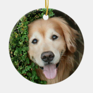 Golden retriever hinter einem Lächeln Keramik Ornament