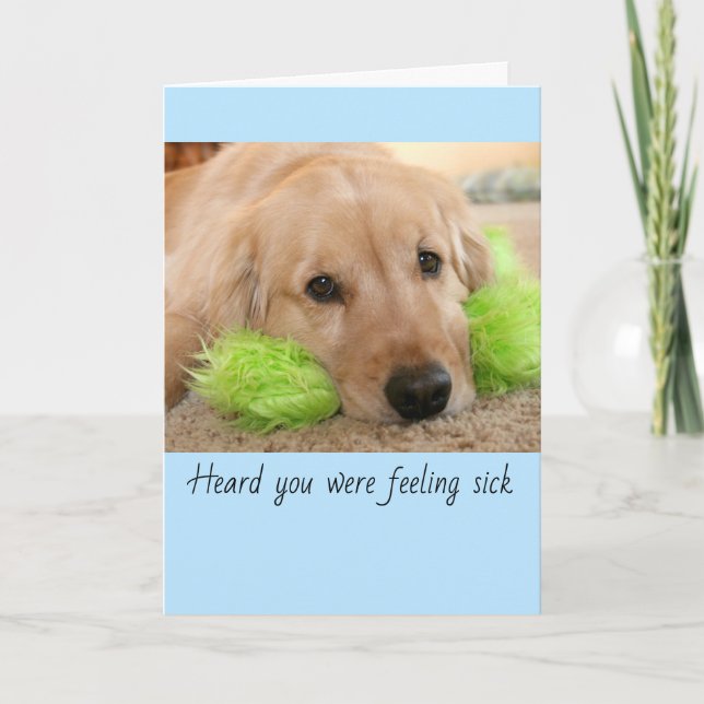 Golden Retriever hörte, dass du krank warst, werde Karte (Vorderseite)
