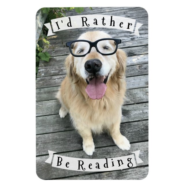 Golden Retriever Hund, den ich lesen würde Magnet (Vertikal)
