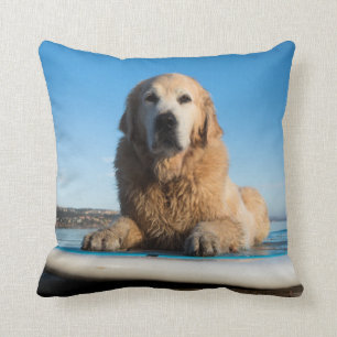 Golden retriever-Hund, der auf ein Paddel-Brett Kissen