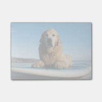 Golden retriever-Hund, der auf ein Paddel-Brett