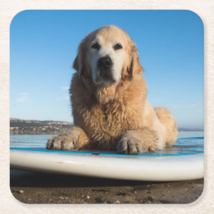 Golden retriever-Hund, der auf ein Paddel-Brett Rechteckiger Pappuntersetzer