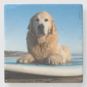 Golden retriever-Hund, der auf ein Paddel-Brett Steinuntersetzer