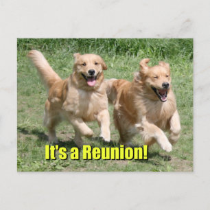 Golden Retriever Hund Es ist ein Wiedersehen Ankündigungspostkarte