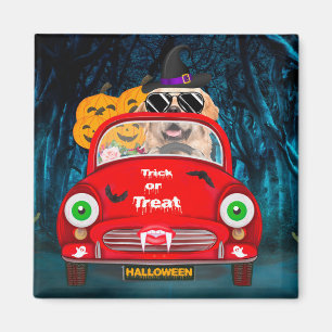 Golden Retriever Hund fährt Auto Grusel Halloween Magnet