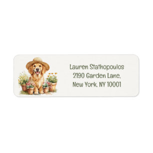 Golden Retriever Hund Gärtnern Blumenkübel