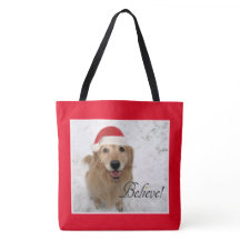 Golden retriever-Hund glauben Weihnachten