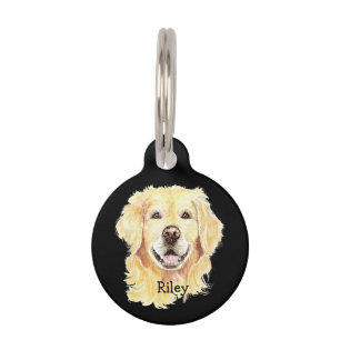 Golden Retriever Hund Haustier Tier Haustiermarke