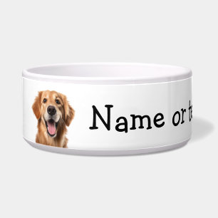Golden Retriever Hund Haustier Tier Napf
