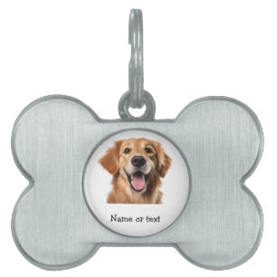 Golden Retriever Hund Haustier Tier Tiermarke