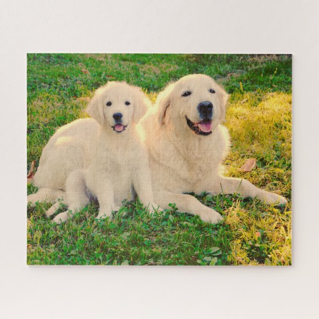 Golden Retriever Hund Haustiere Tierische Mama ode (Horizontal)