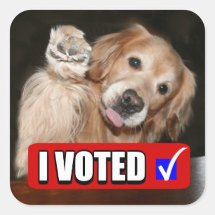 Golden Retriever Hund I Voted Election Day Quadratischer Aufkleber