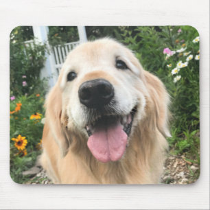 Golden Retriever Hund im Blumengarten Mousepad