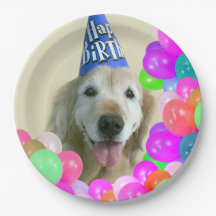 Golden retriever-Hund mit Ballon-Geburtstag