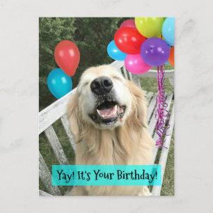 Golden Retriever Hund mit Luftballons zum Geburtst Postkarte