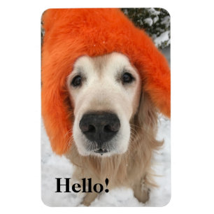 Golden retriever-Hund mit orange flockigem Hut im Magnet