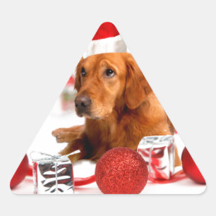 Golden Retriever Hund mit roter Santa-Mütze Weihna Dreieckiger Aufkleber