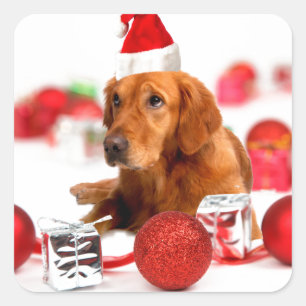Golden Retriever Hund mit roter Santa Mütze Weihna Quadratischer Aufkleber