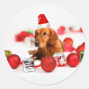 Golden Retriever Hund mit roter Santa Mütze Weihna Runder Aufkleber
