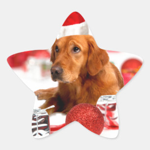 Golden Retriever Hund mit roter Santa Mütze Weihna Stern-Aufkleber