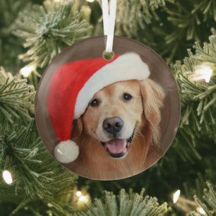 Golden Retriever Hund mit roter Weihnachtsmannmüt Ornament Aus Glas