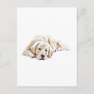 Golden Retriever Hund Postkarte Hunde Liebhaber Ge