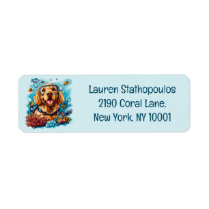 Golden Retriever Hund Schnorcheln Korallenriff