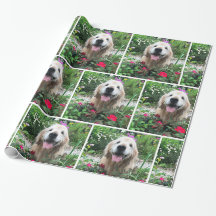 Golden Retriever Hund unter Blume Jedem Anlass