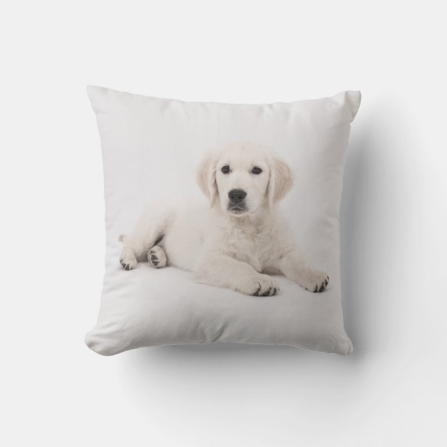 Golden Retriever Hund Welpenpilz Kissen (Vorderseite)