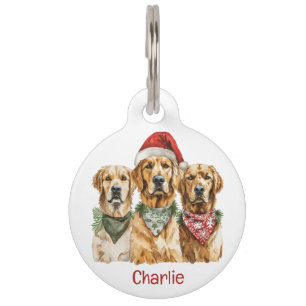 Golden Retriever Hunde Haustiermarke