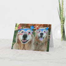 Golden Retriever Hunde in Independence Day Glasses