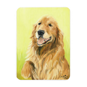 Golden retriever-Hundekunst-Magnet Magnet