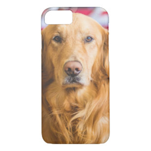 Golden Retriever Hundeportrait Case-Mate iPhone Hülle