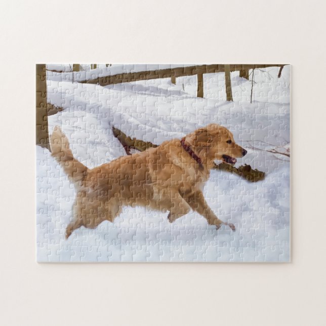 Golden retriever-Hundepuzzlespiel (Horizontal)