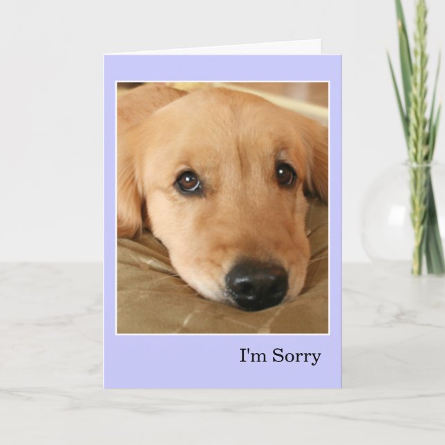 Golden Retriever Ich bedauere Entschuldigung Karte (Vorderseite)