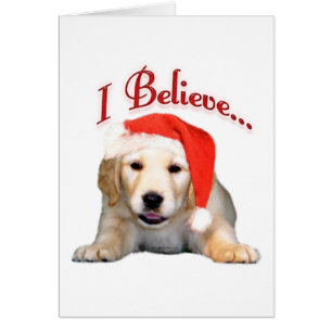 Golden Retriever Ich glaube