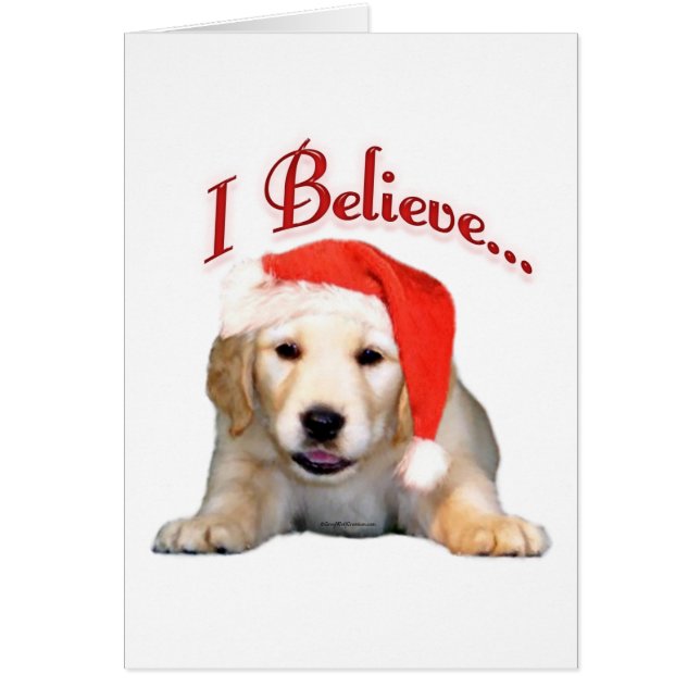 Golden Retriever Ich glaube (Vorne)