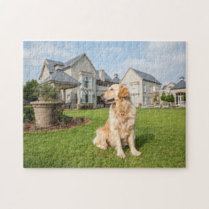Golden retriever im Garten-Puzzlen