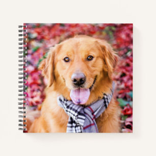 Golden Retriever im Locarno Notizbuch