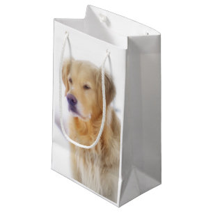 Golden retriever im Schnee Kleine Geschenktüte