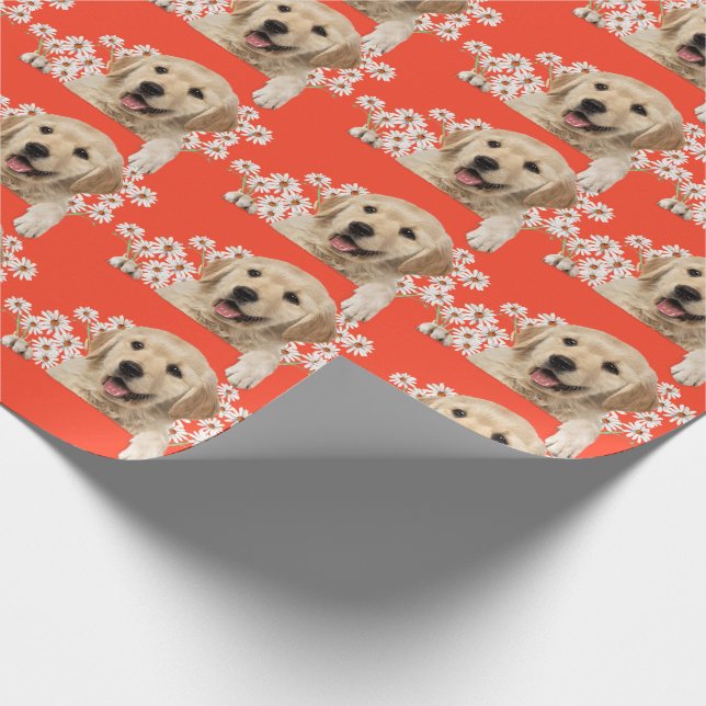 Golden Retriever in den Gänsen auf Orange Geschenkpapier (Ecke)