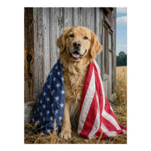 Golden Retriever in eine amerikanische Flagge gehü Poster