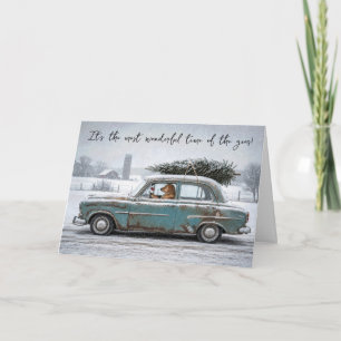 Golden Retriever in einem Retro-Auto mit Kiefer Karte