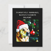 Golden Retriever in einer Weihnachtsmannmütze.