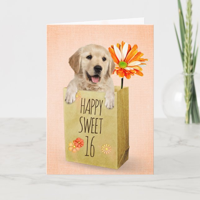 Golden Retriever in Sweet 16 Birthday Bag Karte (Vorderseite)