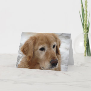 Golden Retriever in Winter All Chance Karte