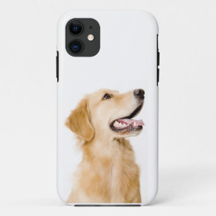 Golden retriever iPhone Fall Case-Mate iPhone Hülle