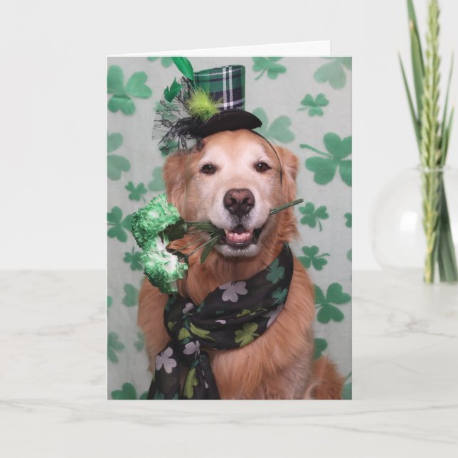 Golden Retriever Irish St Patrick's Day Karte (Vorderseite)