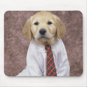 Golden retriever; ist ein verhältnismäßig moder mousepad