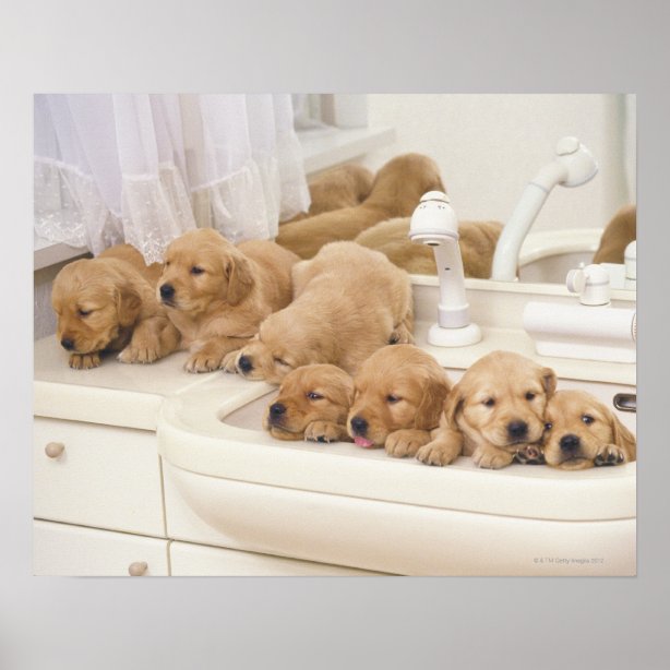 Badezimmer Poster | Zazzle.ch
